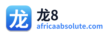 龙8